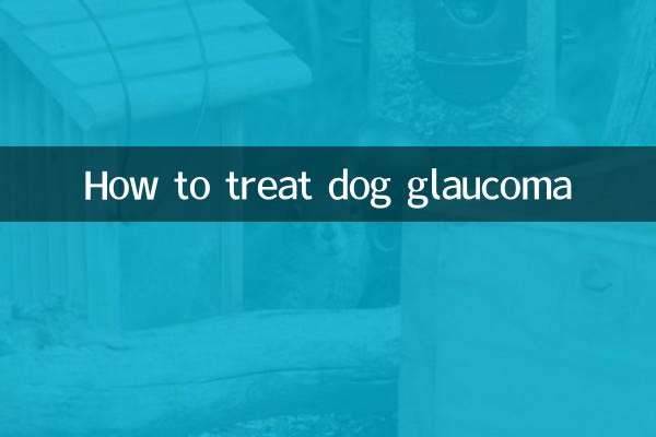 Wie behandelt man das Glaukom bei Hunden?