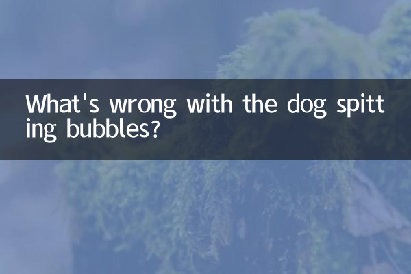 犬が泡を吐いて何が悪いの?