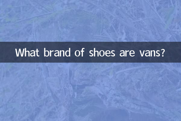 Von welcher Schuhmarke sind Vans?