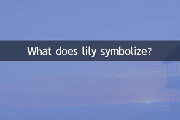What does lily symbolize?