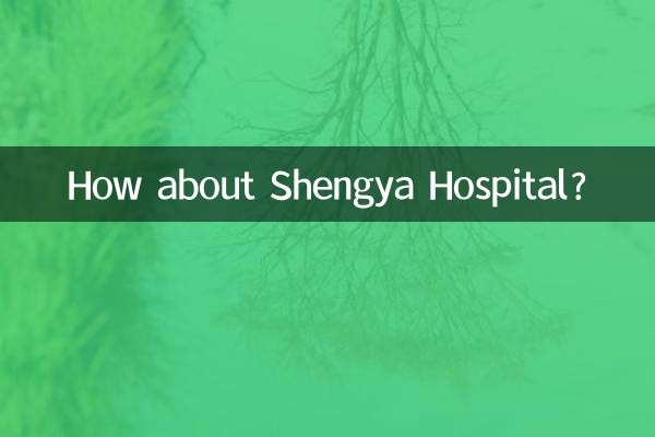 Che ne dici dell'ospedale Shengya?