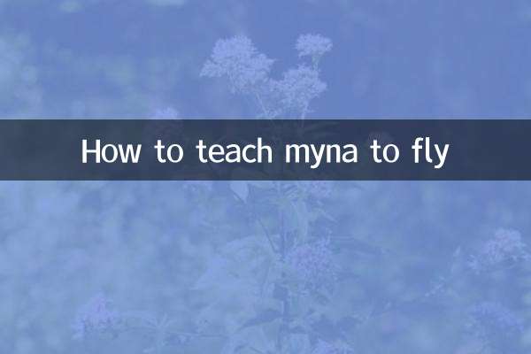 Come insegnare a Myna a volare