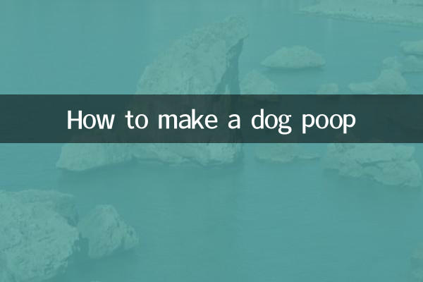 Как заставить собаку какать