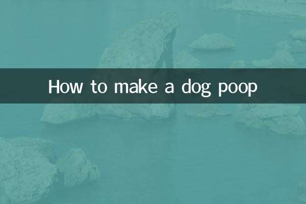 Как заставить собаку какать