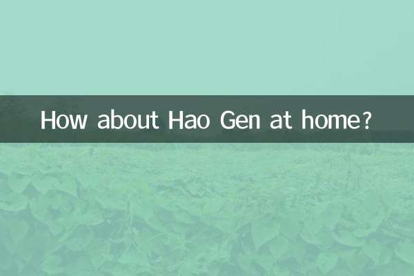ماذا عن هاو جين في المنزل؟