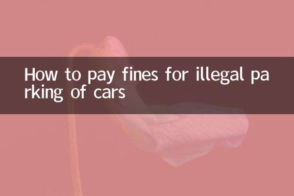 How to pay fines for illegal parking of cars