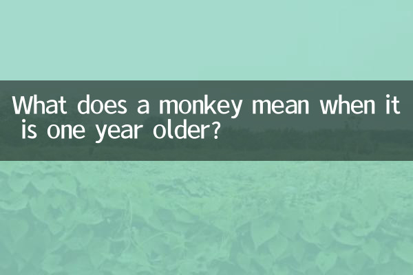 What does a monkey mean when it is one year older?