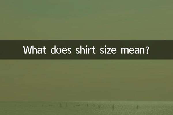 What does shirt size mean?