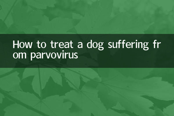 পারভোভাইরাসে আক্রান্ত কুকুরের কীভাবে চিকিত্সা করবেন