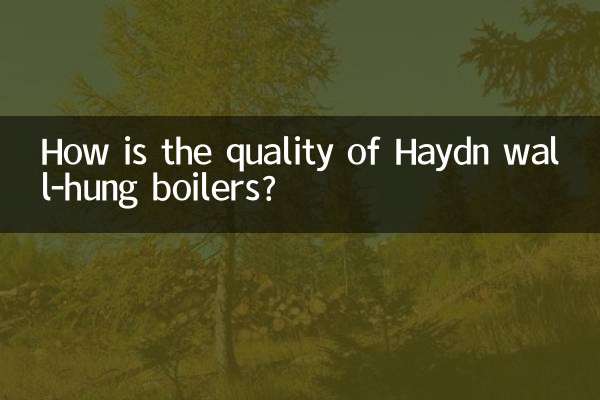 হেডন ওয়াল-হ্যাং বয়লারের মান কেমন?