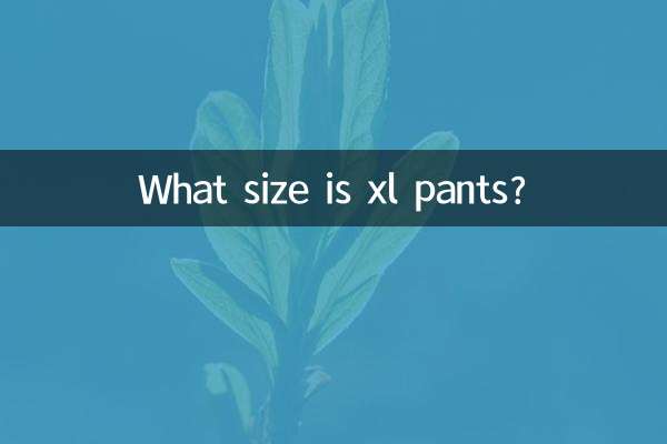 xl바지 사이즈 몇인가요?