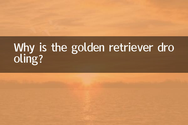 골든 리트리버가 침을 흘리는 이유는 무엇입니까?