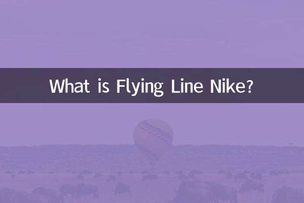 Cos'è Flying Line Nike?