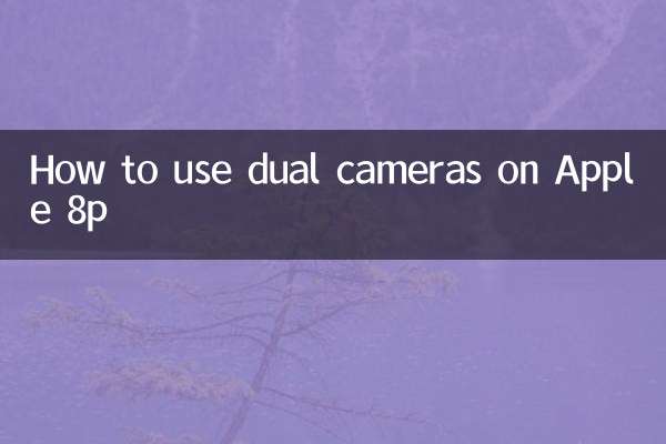 So verwenden Sie Dual-Kameras auf Apple 8p