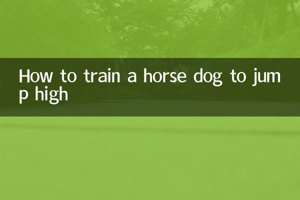 How to train a horse dog to jump high
