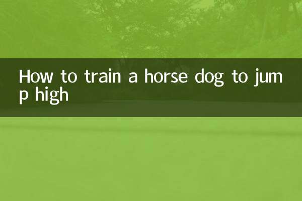How to train a horse dog to jump high