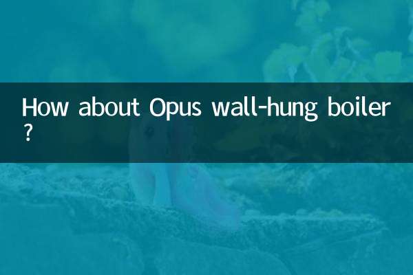 اوپس وال ہنگ بوائلر کے بارے میں کیا خیال ہے؟