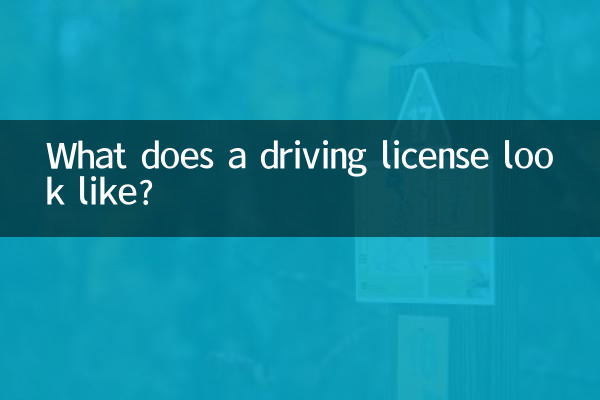 Qual é a aparência de uma carteira de motorista?
