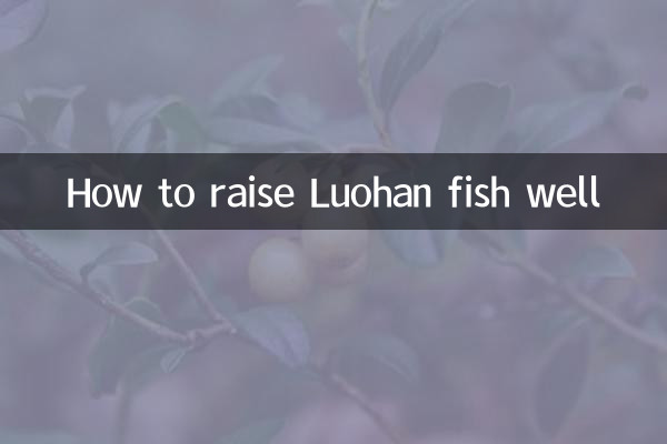 Как правильно выращивать рыбу Луохан