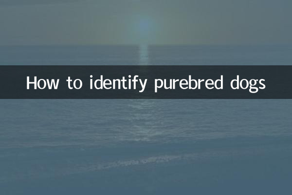 Comment identifier les chiens de race pure