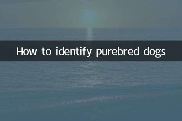 Comment identifier les chiens de race pure