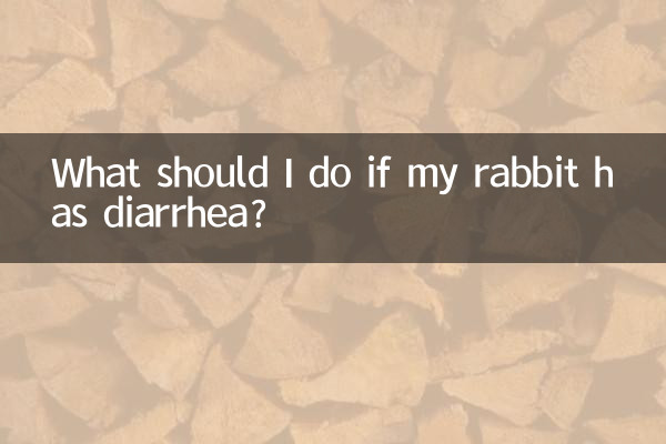 اگر میرے خرگوش میں اسہال ہو تو مجھے کیا کرنا چاہئے؟