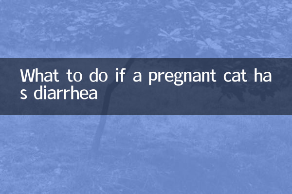 Que faire si une chatte enceinte a la diarrhée