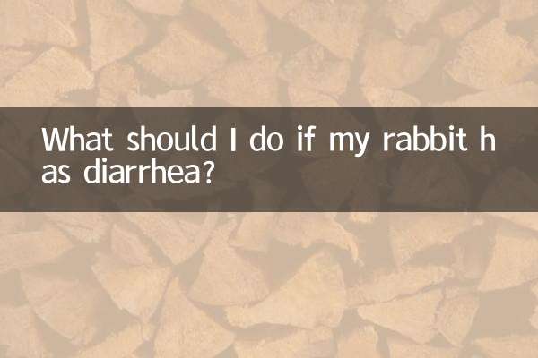 यदि मेरे खरगोश को दस्त हो तो मुझे क्या करना चाहिए?