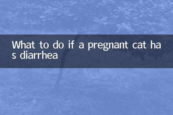 Cosa fare se una gatta incinta ha la diarrea?