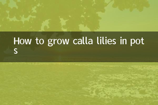 Como cultivar copos-de-leite em vasos