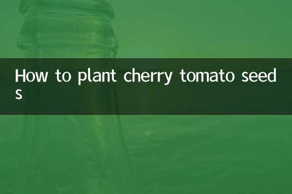 圣女果种子怎么种