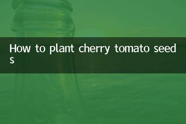 방울토마토 씨앗 심는 방법