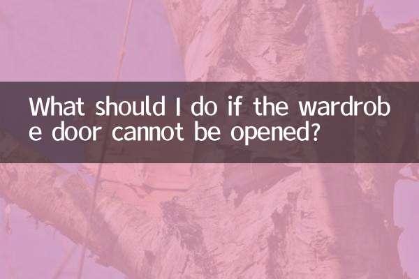 Was soll ich tun, wenn sich die Schranktür nicht öffnen lässt?