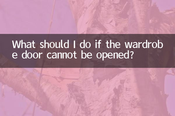 O que devo fazer se a porta do guarda-roupa não puder ser aberta?