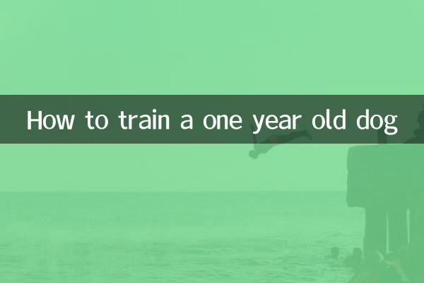 一岁的狗狗怎么训练