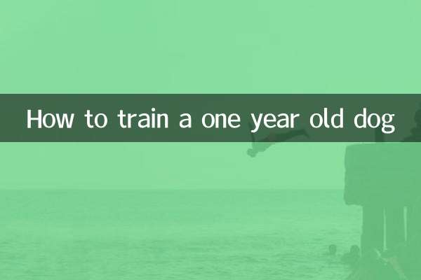 一岁的狗狗怎么训练