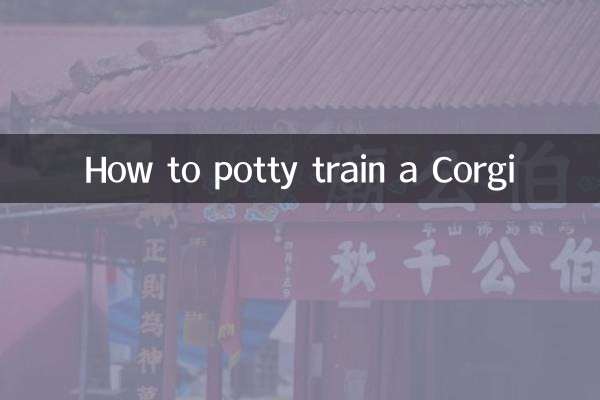 怎麼訓練柯基大小便
