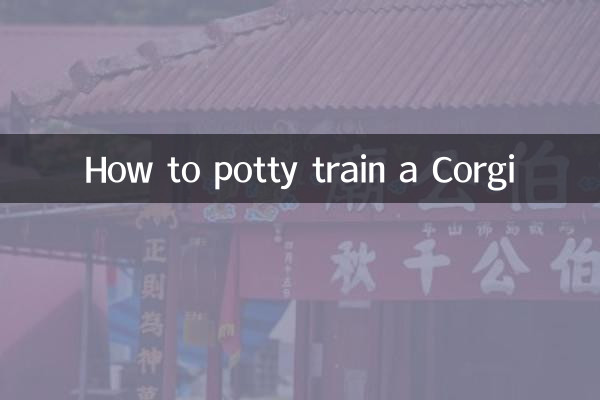 Wie man einen Corgi aufs Töpfchen bringt