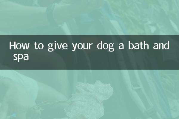 Como dar banho e spa em seu cachorro