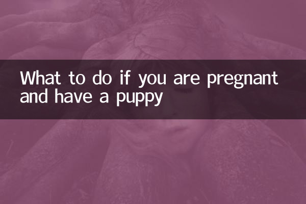 What to do if you are pregnant and have a puppy