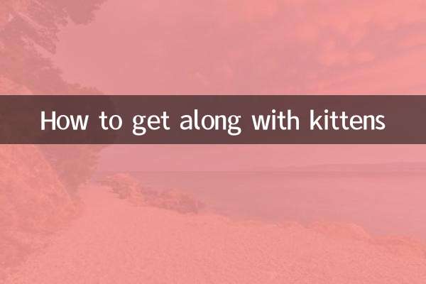 چگونه با بچه گربه ها کنار بیاییم