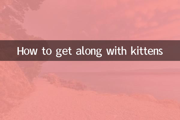 چگونه با بچه گربه ها کنار بیاییم