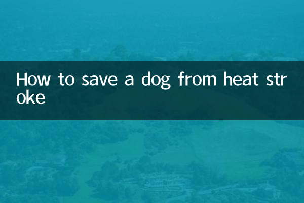 कुत्ते को हीट स्ट्रोक से कैसे बचाएं?
