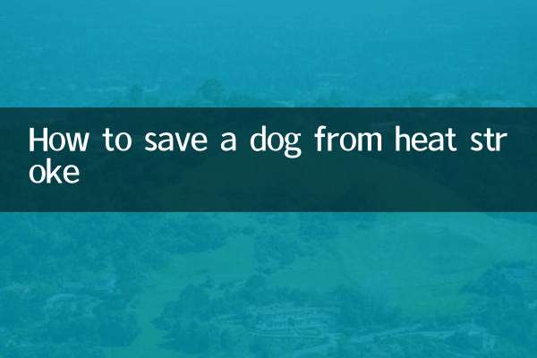 Come salvare un cane dal colpo di calore