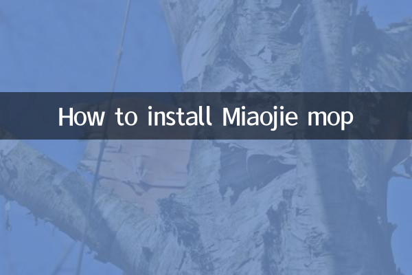 Miaojie Mop कैसे स्थापित करें