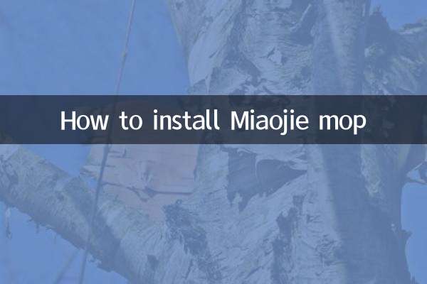 Cómo instalar Miaojie Mop