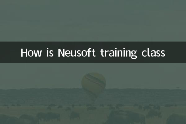 Wie ist Neusoft -Trainingsklasse
