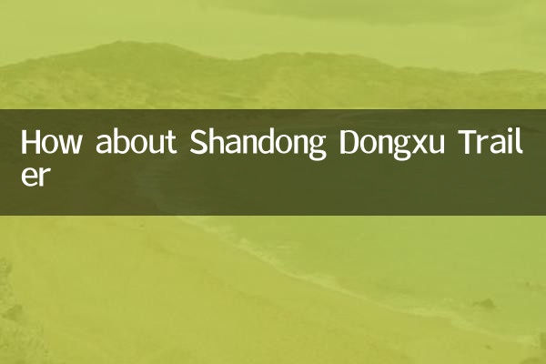 How about Shandong Dongxu Trailer