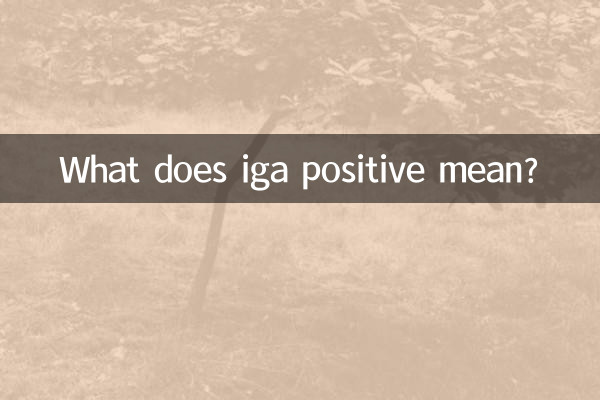O que significa iga positivo?