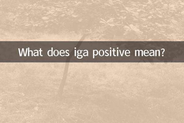 iga阳性是什么意思